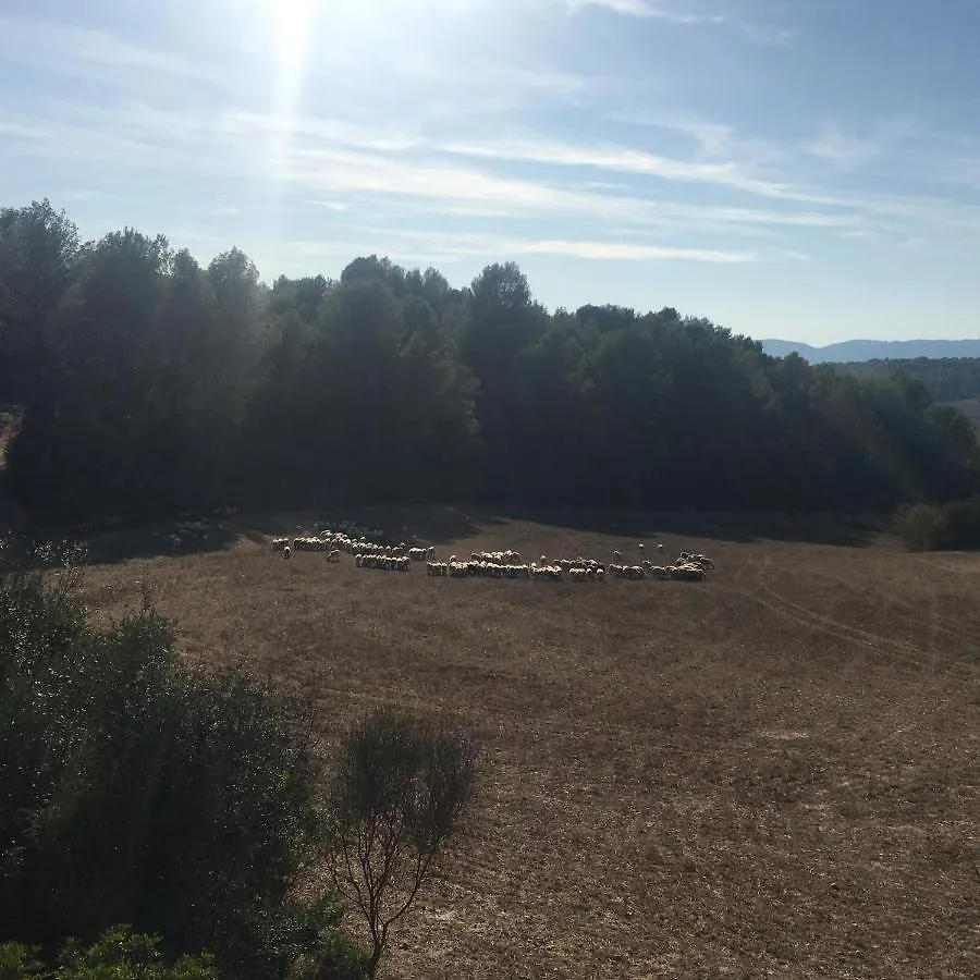 VI L'Art Wine Lodge - Only Adults Piera Spain